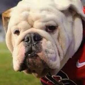 Meet your Posher, Jeremy